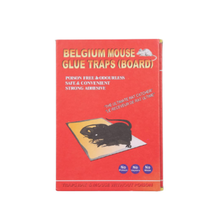 Belgium Mouse Glue Traps (Board)